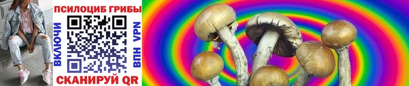 Псилоцибиновые грибы MAGIC MUSHROOMS  Киржач 